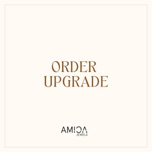May include: Order upgrade text on a white background with the company name AM!CA JEWELS in brown text at the bottom.
