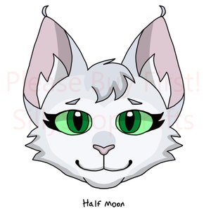 War Cats Stickers: Omen of Stars Character Pngs (instant Download, 9pc ...