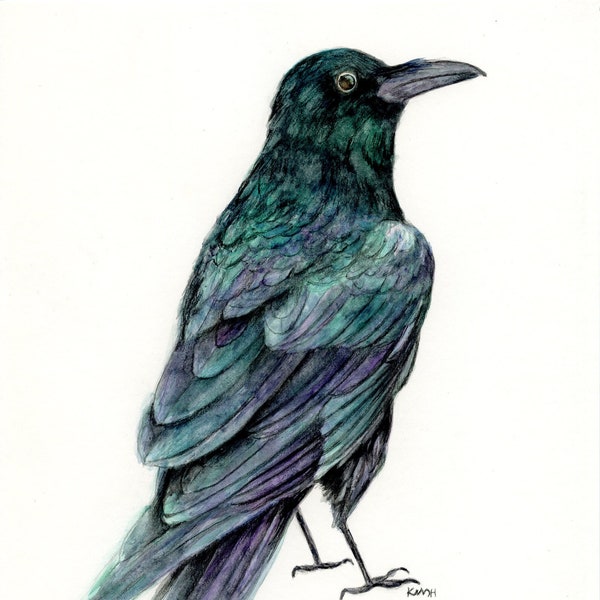 Original Watercolor Bird Painting | The Raven | 8''x10''