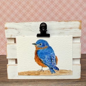 ACEO Bird Watercolor Print | Bluebird Painting | Giclée | Mini Art | 3.5”x2.5”