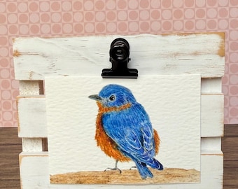 ACEO Bird Watercolor Print | Bluebird Painting | Giclée | Mini Art | 3.5”x2.5”