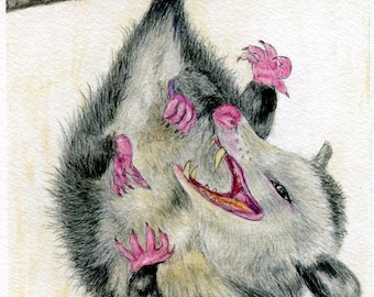 Opossum Giclée Art Print 5"x7"