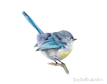 ONE Enamel Variegated Fairywren Brooch Blue Wren