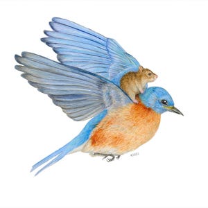 Blue Bird and Friend – Giclée Art Print | 5&quot;x7&quot; and 8&quot;x10&quot; Sizes | Whimsical Watercolor & Colored Pencil Illustration | Signed Open Edition