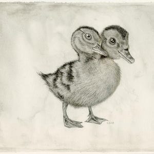 Two-Headed Duckling – Original Watercolor & Colored Pencil Painting | 10&quot;x8&quot; Artwork with 11&quot;x14&quot; Mat | Signed and Certified