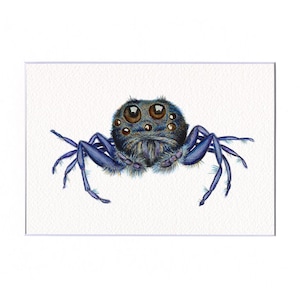 Jumping Spider Giclée Art Print 7"x5"