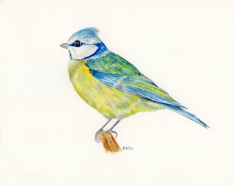 Original Aquarell Malerei Vogel | Blaumeise | 20cmx26cm