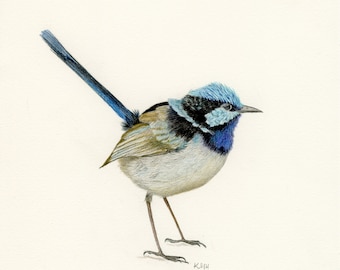 Original Watercolor Bird Painting | Superb Fairy-Wren | 8''x10''