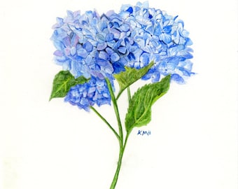 Original Aquarell Blumengemälde | Blaue Hortensie | 8''x10''