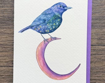 Night Bird Art Greeting Card,Blank Card, A2, 5.5&quot;x4.25&quot;