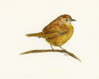Peinture aquarelle originale d'oiseau | Oiseau troglodyte | 8''x10''
