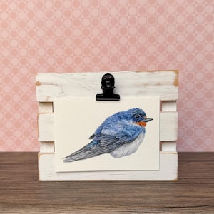 ACEO Bird Watercolor Print | Barn Swallow Painting | Giclee | Mini Art | 2.5”x3.5”