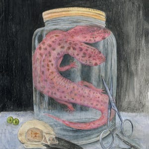 Two-Headed Salamander Giclée Art Print 8&quot;x10&quot;