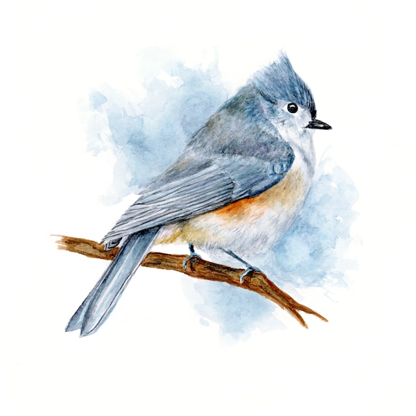 Watercolor Bird Print | Tufted Titmouse Painting | Giclee Fine Art Print | 8"x10" | 5”x7” | 4"x6"