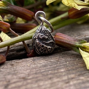 May include: A silver charm in the shape of a walnut with a detailed textured surface.