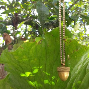 Könnte beinhalten: Eine goldfarbene Eichel-Anhänger-Halskette hängt vor einem Hintergrund aus üppigem, grünem Laub. Der Anhänger hat eine strukturierte Kappe und einen glatten Körper. Die Kette ist im Webstil gehalten, und der Hintergrund ist ein großes, strukturiertes Blatt.