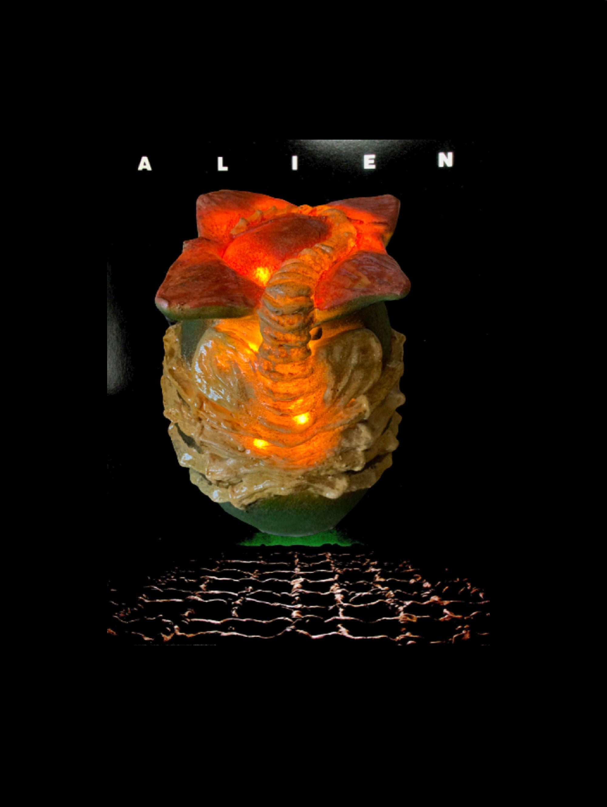 Alien Facehugger Egg