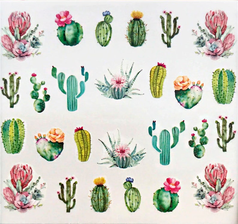 Cactus Nail Decals Designs for Nails Nail Stickers Nail Etsy