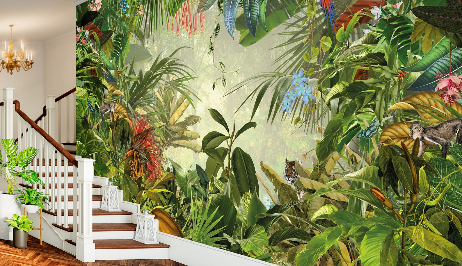 Jungle photo wallpaper Removable Tropical Rainforest Plants Etsy