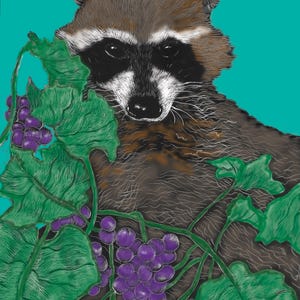 Raccoon Kids Tee: Eco-Friendly Cotton Children's Shirt, Hand-Drawn image 9