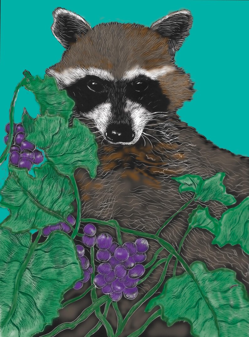 Raccoon Kids Tee: Eco-Friendly Cotton Children's Shirt, Hand-Drawn image 9