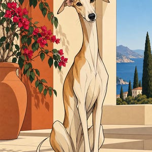 Mediterranean Greyhound — unframed fine art print. Frames and room accessories are not included.