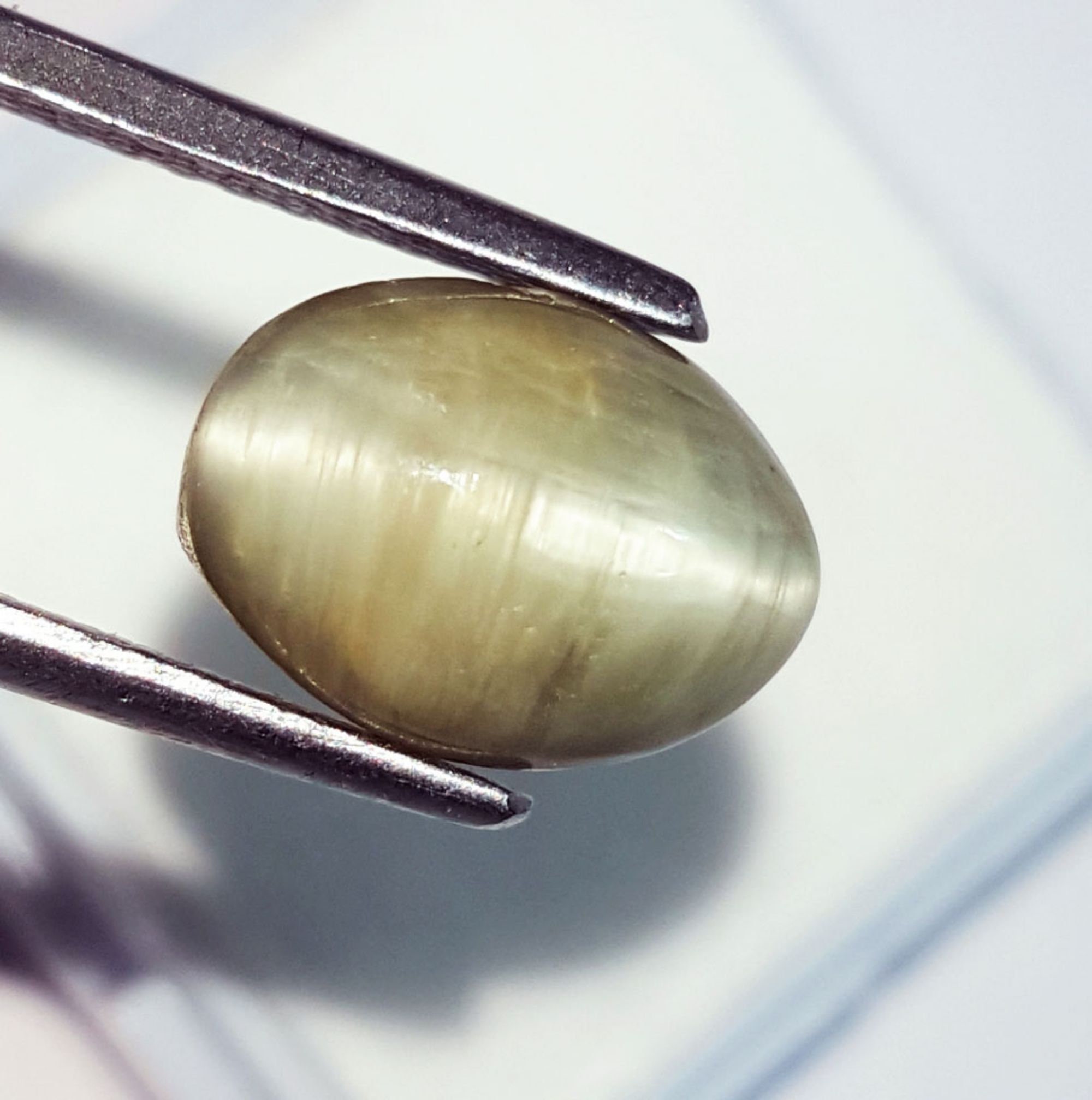 Certified Loose Gemstone 100 Natural Cat's Eye 5.30 Ct Etsy