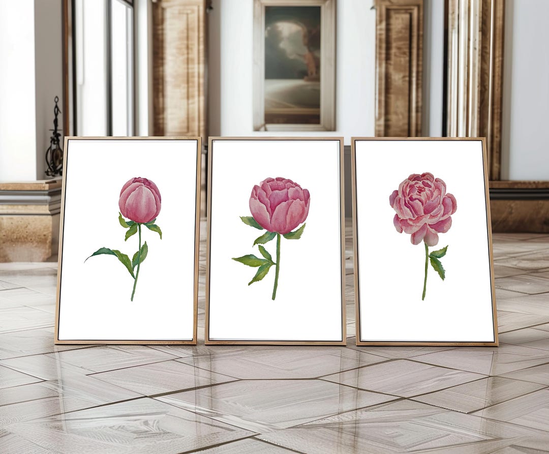 Peony Print Watercolor Painting Flowers, Set of 3 Prints Botanical ...