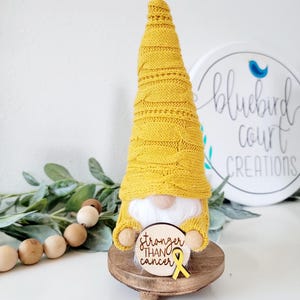 Kids Cancer Gift, Childhood Cancer, Pediatric Cancer Gnome, Cancer Care Package