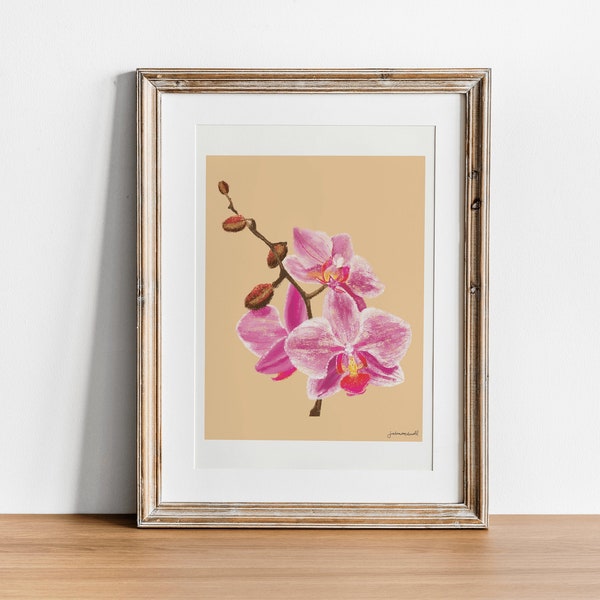 Orchid Wall Art Print | | d’œuvres d’art Pink Orchids | de décoration tropicale | d’art mural tropical Fleurs roses | | de décoration florale Illustration d’orchidées