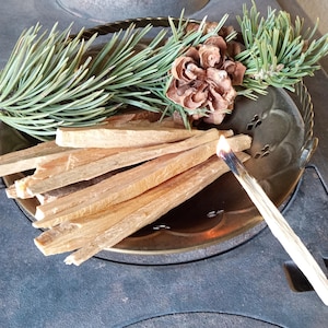 May include: A close-up of a metal bowl filled with wooden kindling sticks, a pine cone, and pine branches. A lit match is placed on the edge of the bowl.