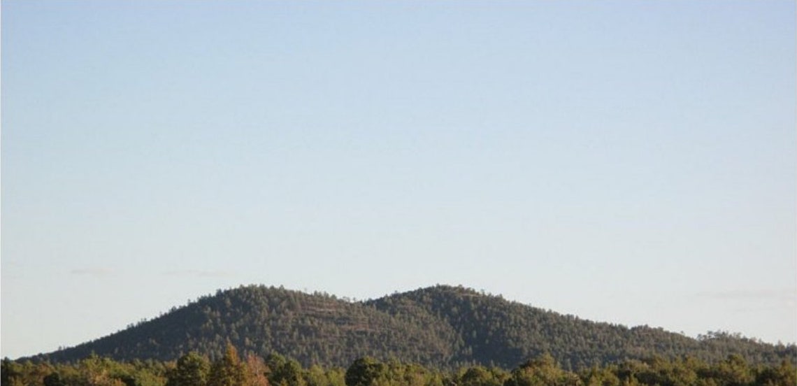 Pinon Sap Pine Sap Natural Tree Sap Rosin Pine Pitch Organic Etsy