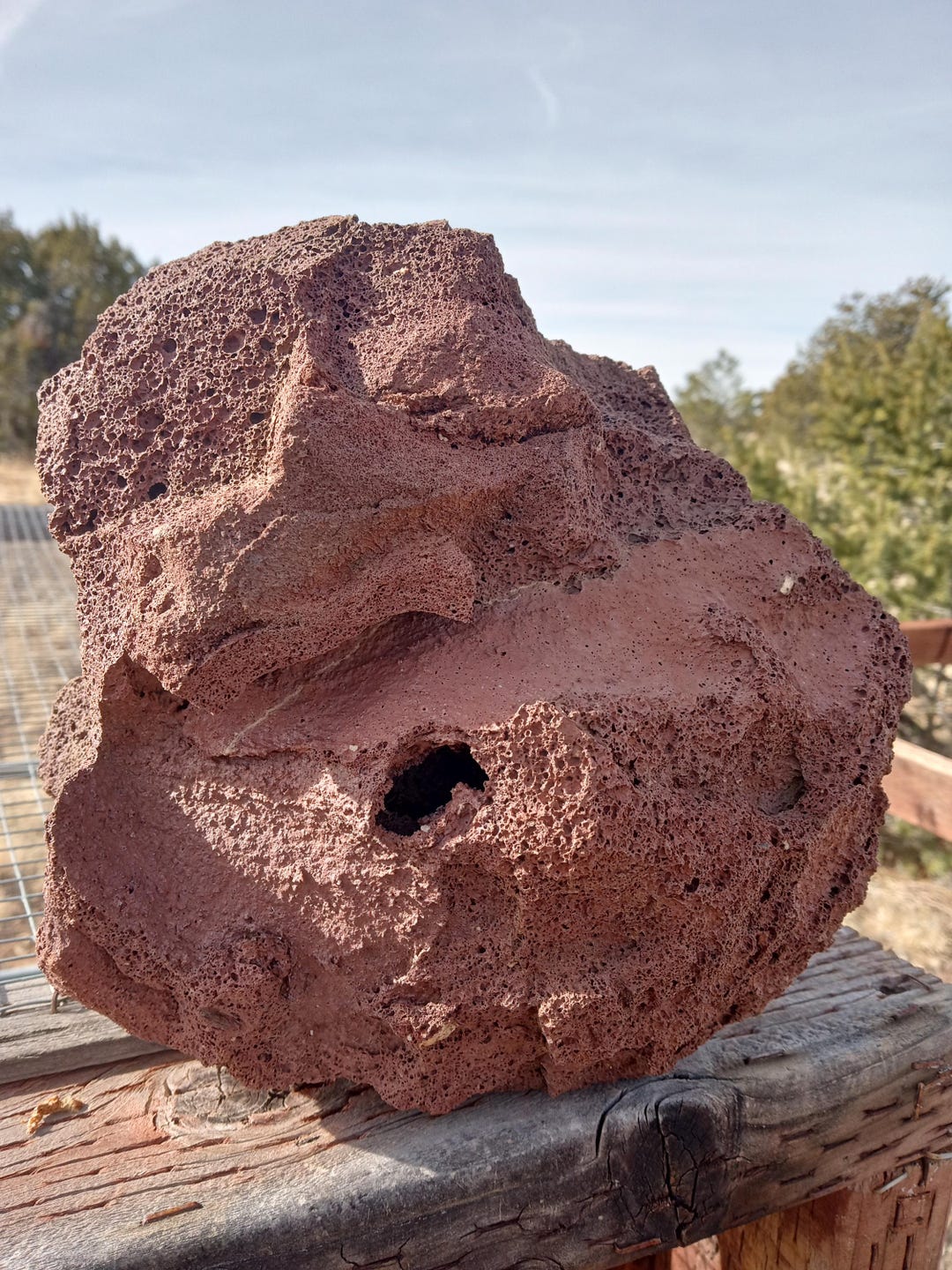 Super Cool Dramatic Stone, Aquarium Decor Fish Ornament, Red Porous ...