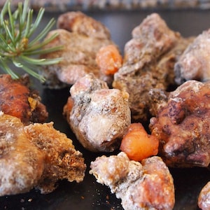 Wild harvested Pine resin, raw pinon sap, available in 1oz 4oz 6oz Tree resin, 100%  Organic incense, natural: rosin, pitch