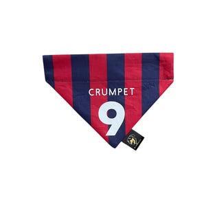 Crystal Palace Dog Bandana - Personalised
