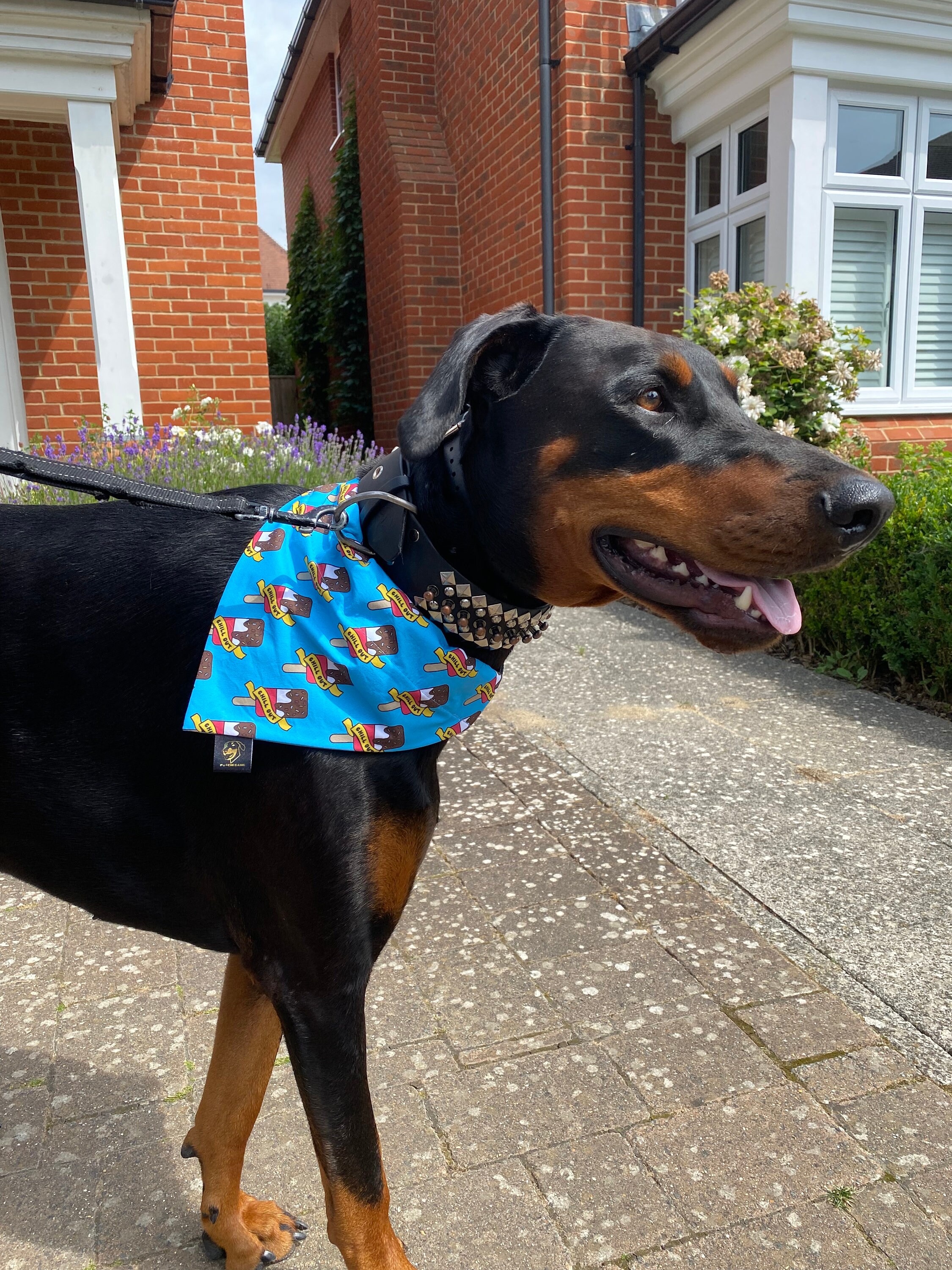 Chill Out Bandana Etsy