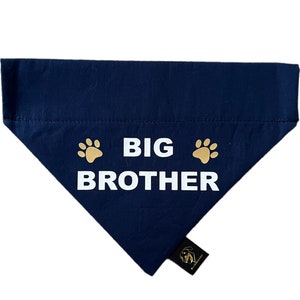 Big Brother Bandana