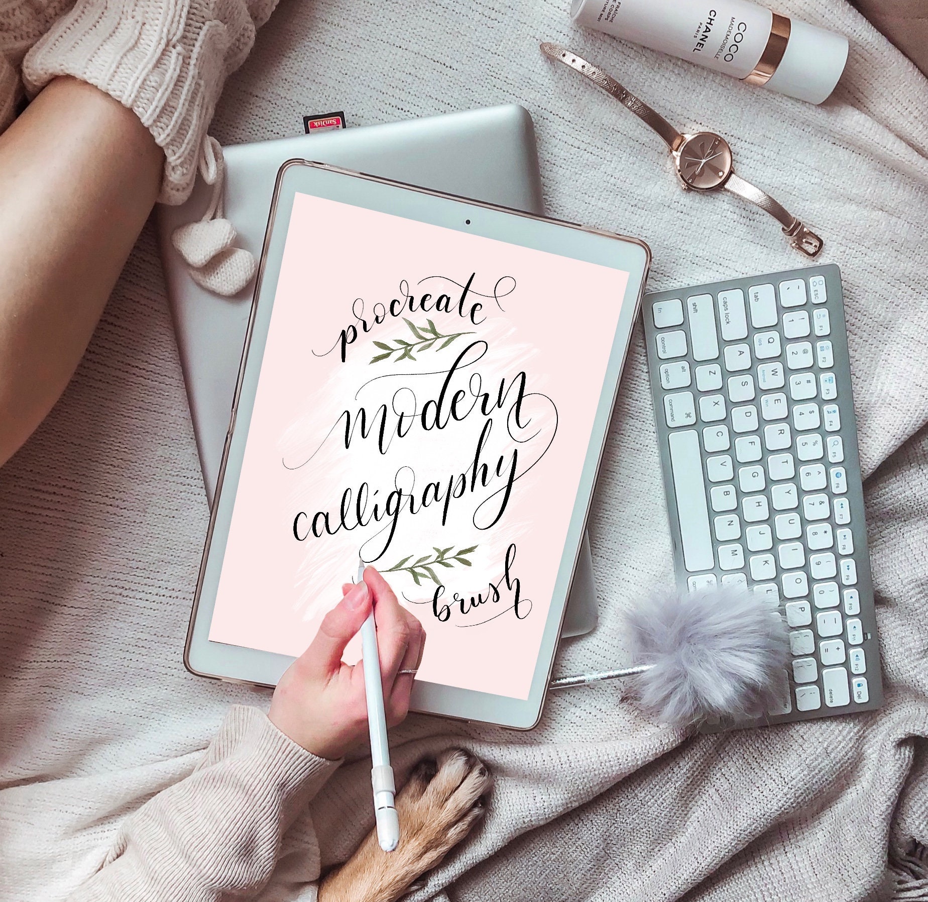 Digital Drawing & Illustration Instant Download with Free Practice