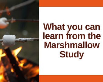 What you can learn from the Marshmallow Study Note Taking Organizer