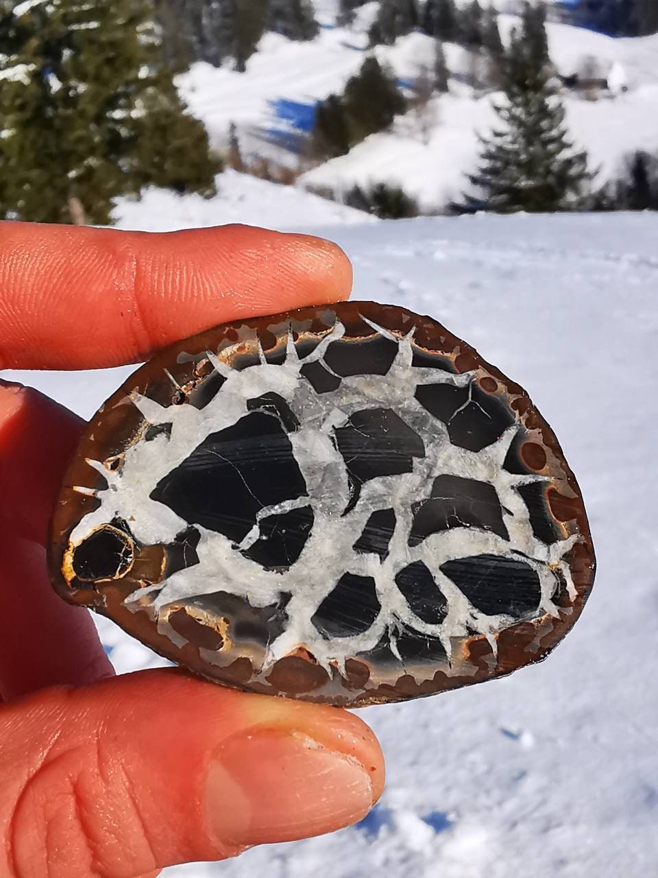 Septaria avec Pyrite, Pierre de Dragon, Minéraux, Maroc, Géode, Lithotherapie, Collection, Pierre, O