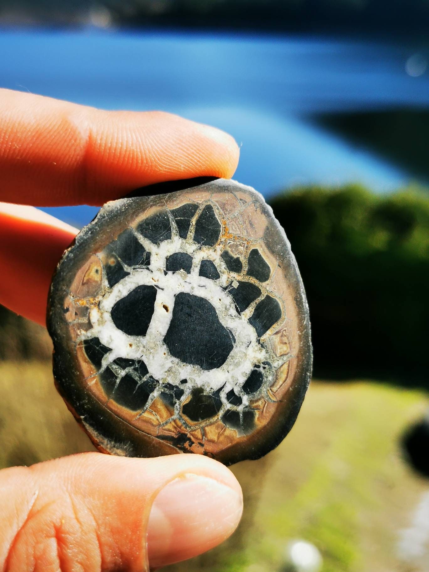 Septaria, Pierre de Dragon, Minéraux, Maroc, Géode, Lithotherapie, Collection, Pierre, Originale, Dr