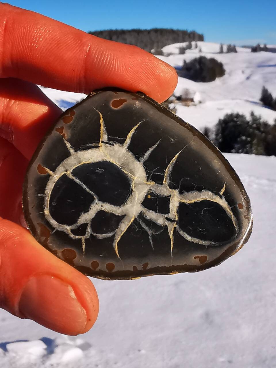 Septaria avec Pyrite, Pierre de Dragon, Minéraux, Maroc, Géode, Lithotherapie, Collection, Pierre, O