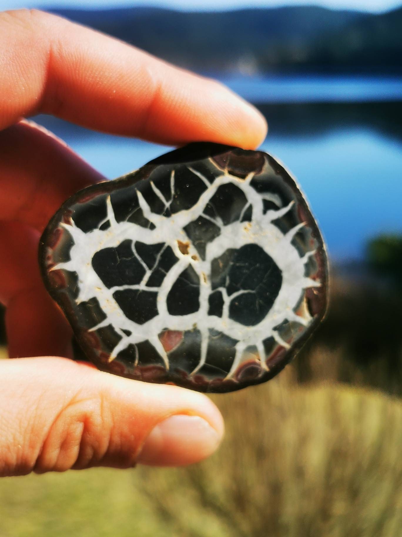 Septaria With Pyrite, Pierre de Dragon, Minéraux, Maroc, Géode, Lithotherapie, Collection, Pierre, O