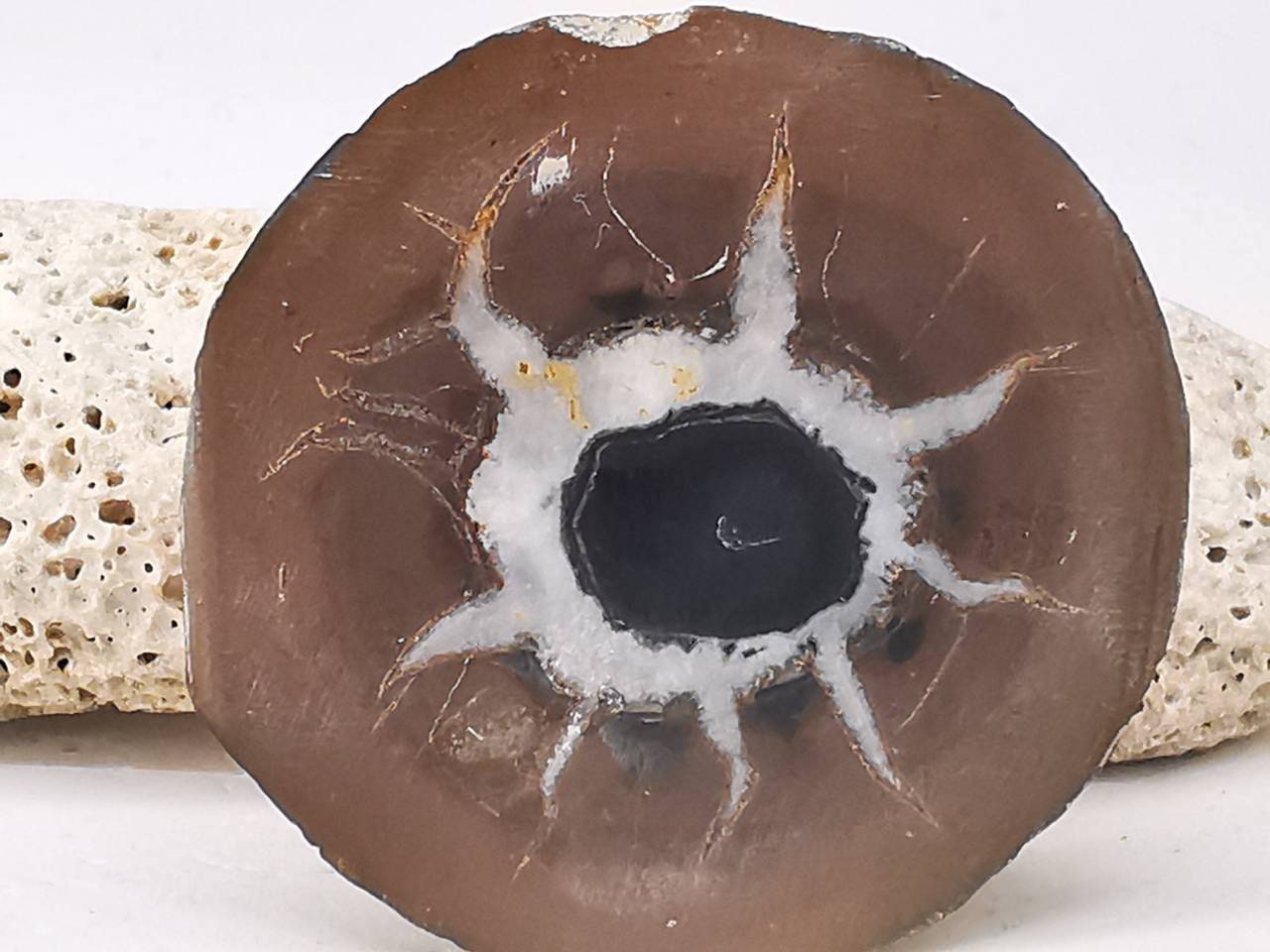 Septaria avec Pyrite, Pierre de Dragon, Minéraux, Maroc, Géode, Lithotherapie, Collection, Pierre, O