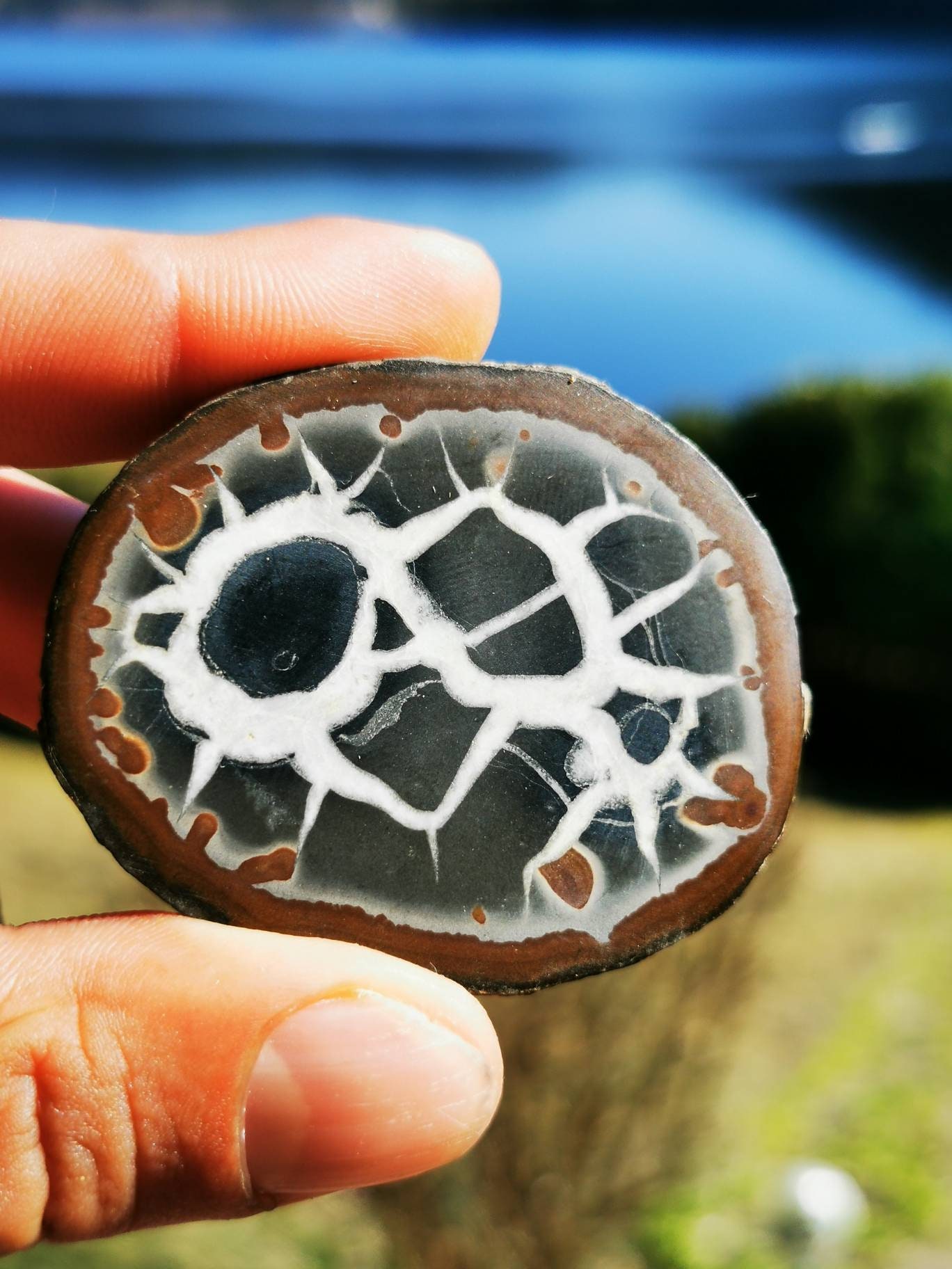 Septaria, Pierre de Dragon, Minéraux, Maroc, Géode, Lithotherapie, Collection, Pierre, Originale, Dr