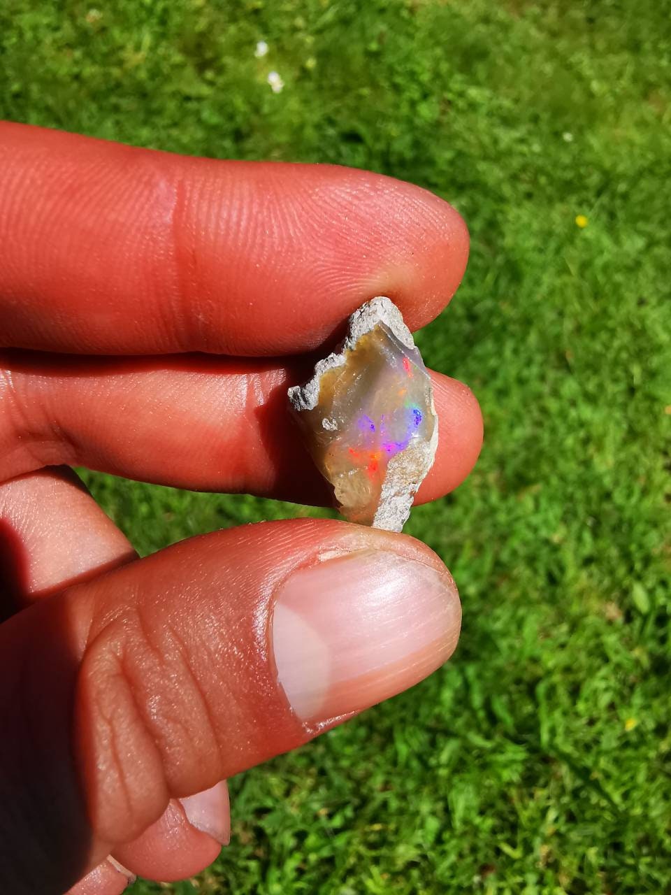 Opale Welo Qualité Extra Aa, Base Brune, 10 Carats 2 Grammes