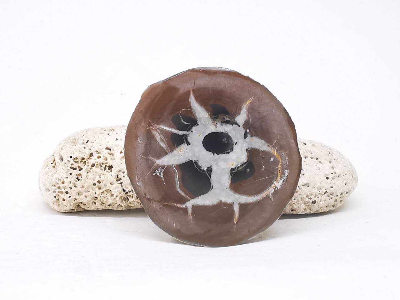 Septaria, Pierre de Dragon, Minéraux, Maroc, Géode, Lithotherapie, Collection, Pierre, Originale, Dr