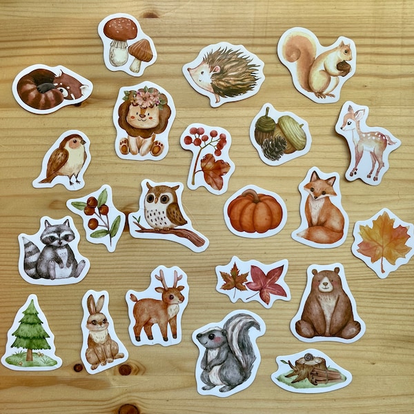 10 Stickers Woodland Creatures, Forest animal Sticker Pack for Journaling, Scrapbooking, kid gift, Perfect Gift for Little Explorers, pack