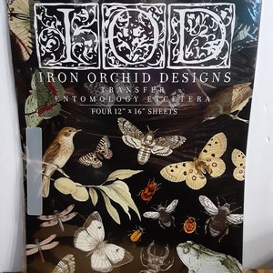 May include: A package of Iron Orchid Designs transfer sheets featuring various insects and butterflies on a black background. The package includes four 12" x 16" sheets. The design includes a variety of insects, including butterflies, moths, beetles, and a frog.