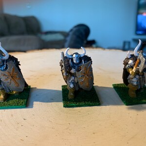 Chaotic Warrior Hand Painted Dungeons & Dragons Miniature
